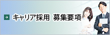 キャリア採用募集要項