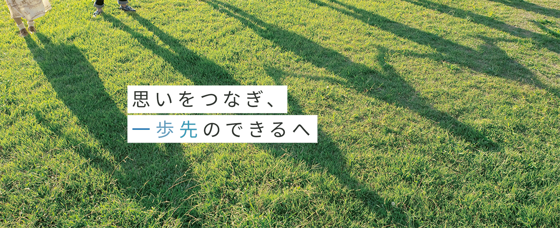 選ばれている理由　イメージ
