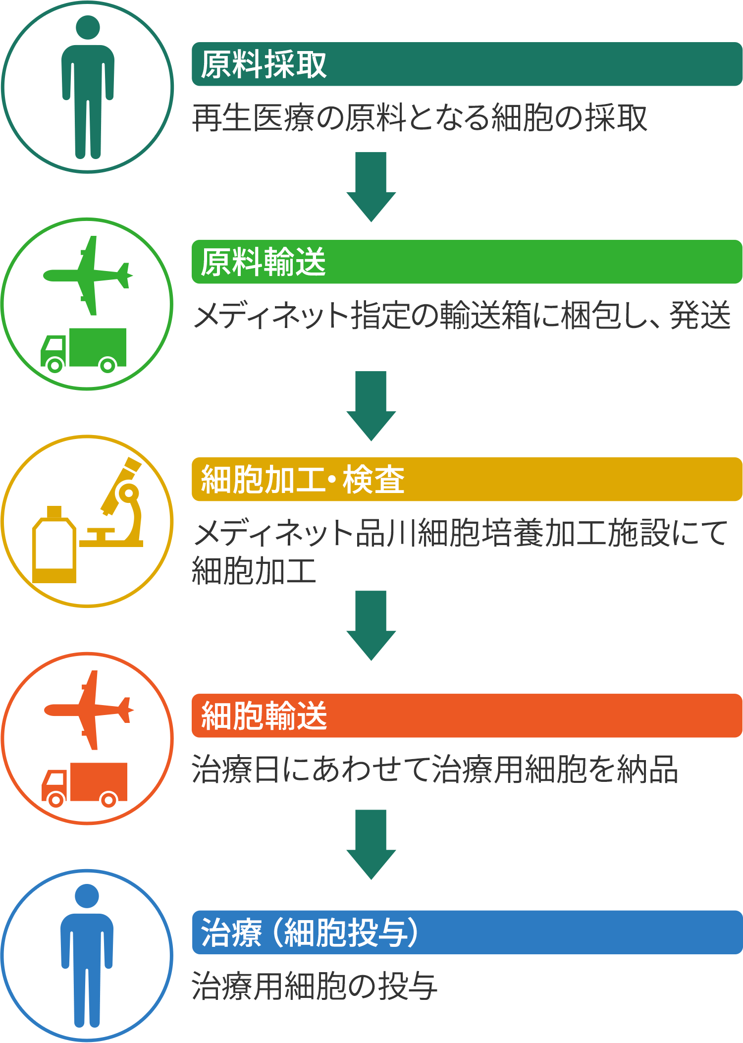 特定細胞加工物製造受託サービス