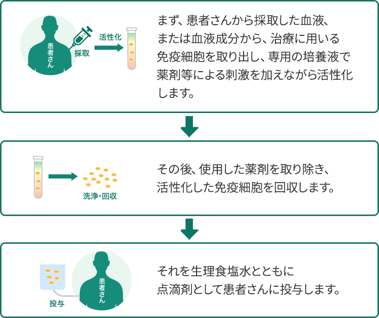免疫細胞治療の基本的なプロセスのモデル