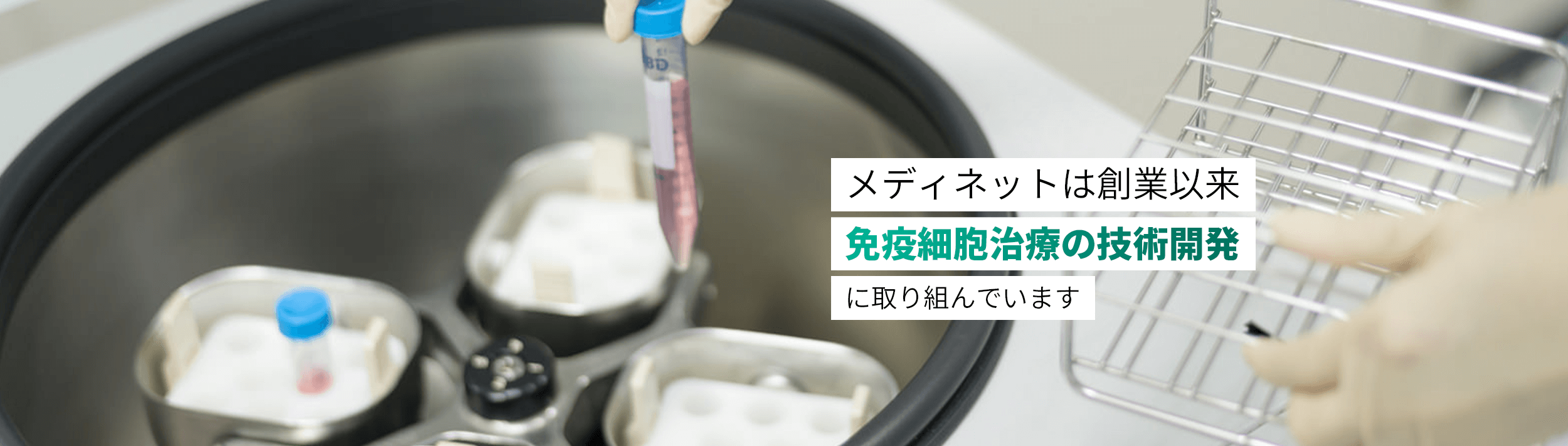 メディネットは創業以来、免疫細胞治療の技術開発に取り組んでいます。